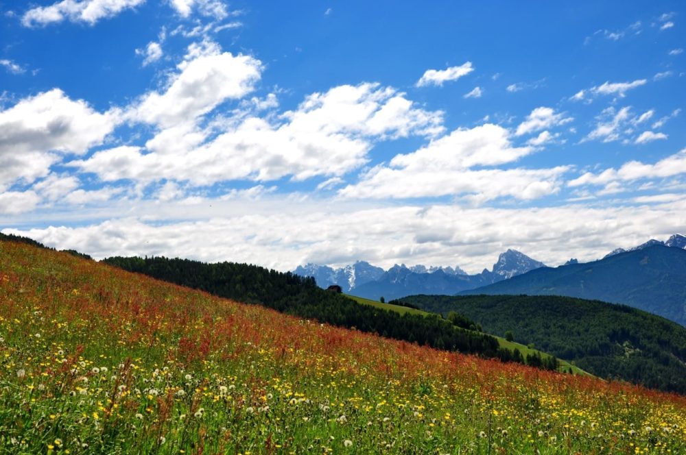 bildergalerie pfeiferhof meransen südtirol dolomiten gitschberg jochtal (10)