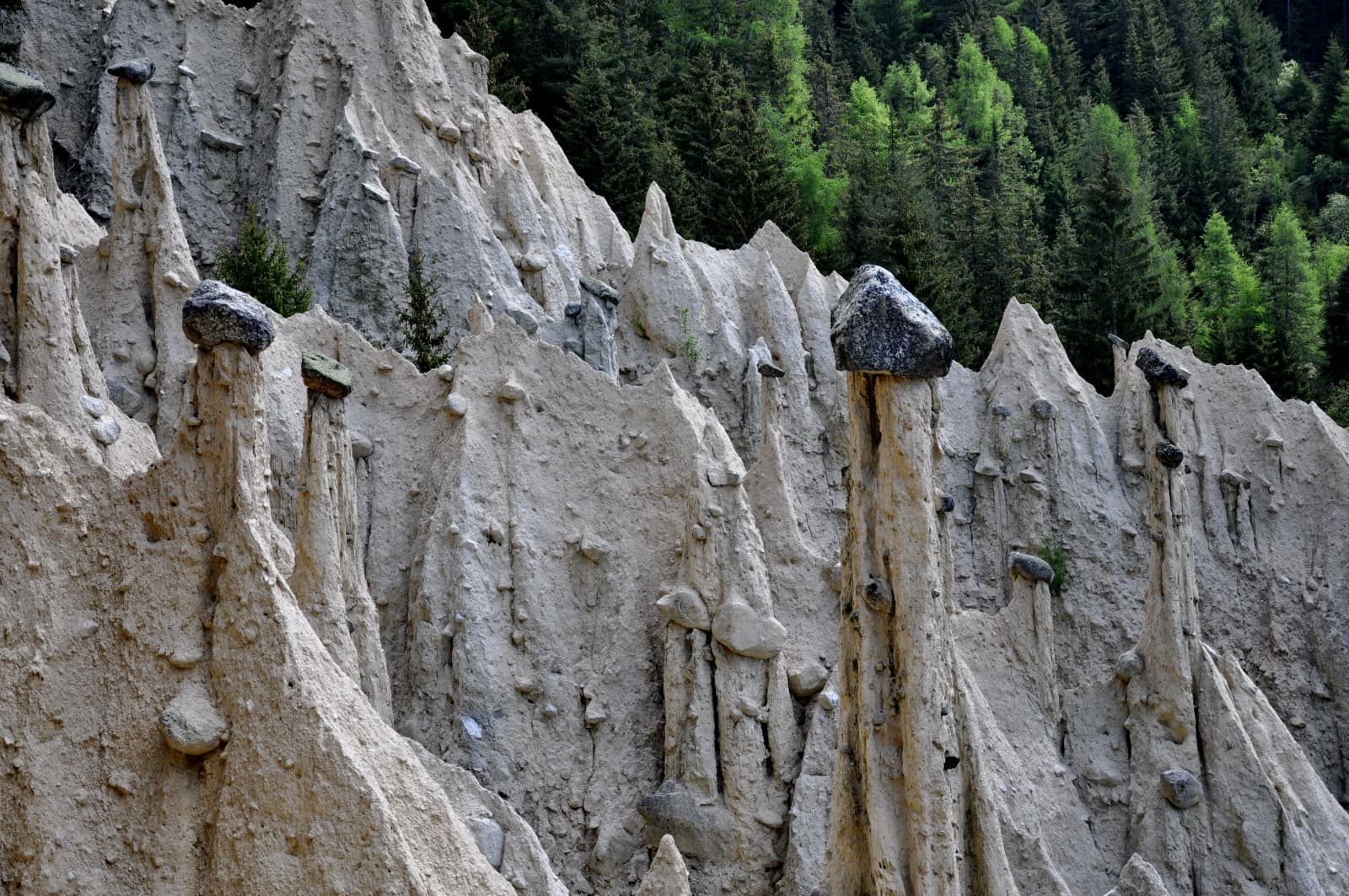 bildergalerie pfeiferhof meransen südtirol dolomiten gitschberg jochtal (12)