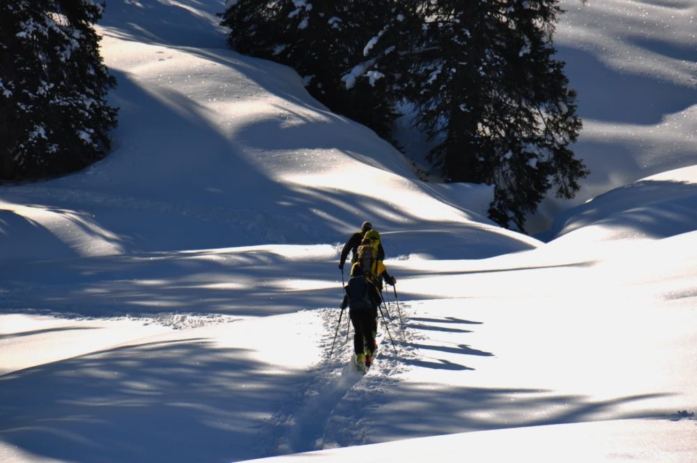 bildergalerie pfeiferhof meransen südtirol dolomiten gitschberg jochtal (33)