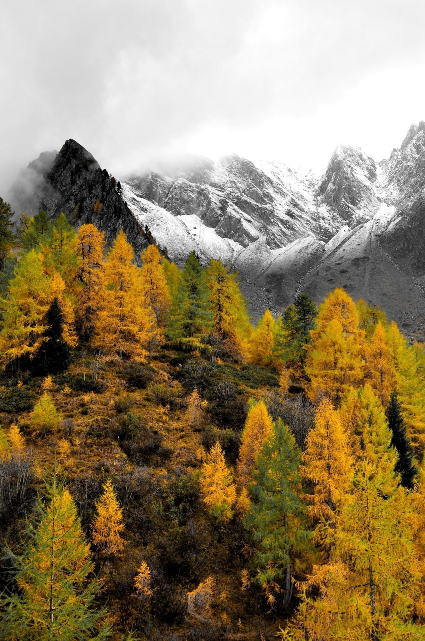 bildergalerie pfeiferhof meransen südtirol dolomiten gitschberg jochtal (51)