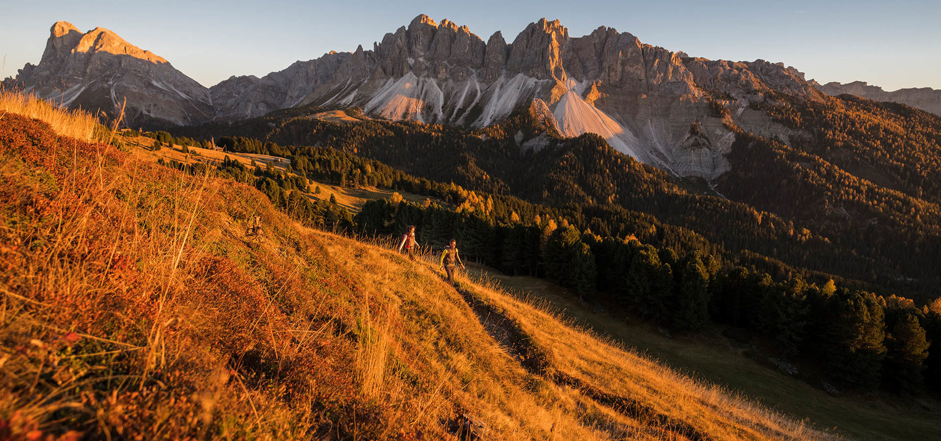 pfeiferhof suedtirol urlaub in meransen naturgenuss auf dem hochplateau (2)