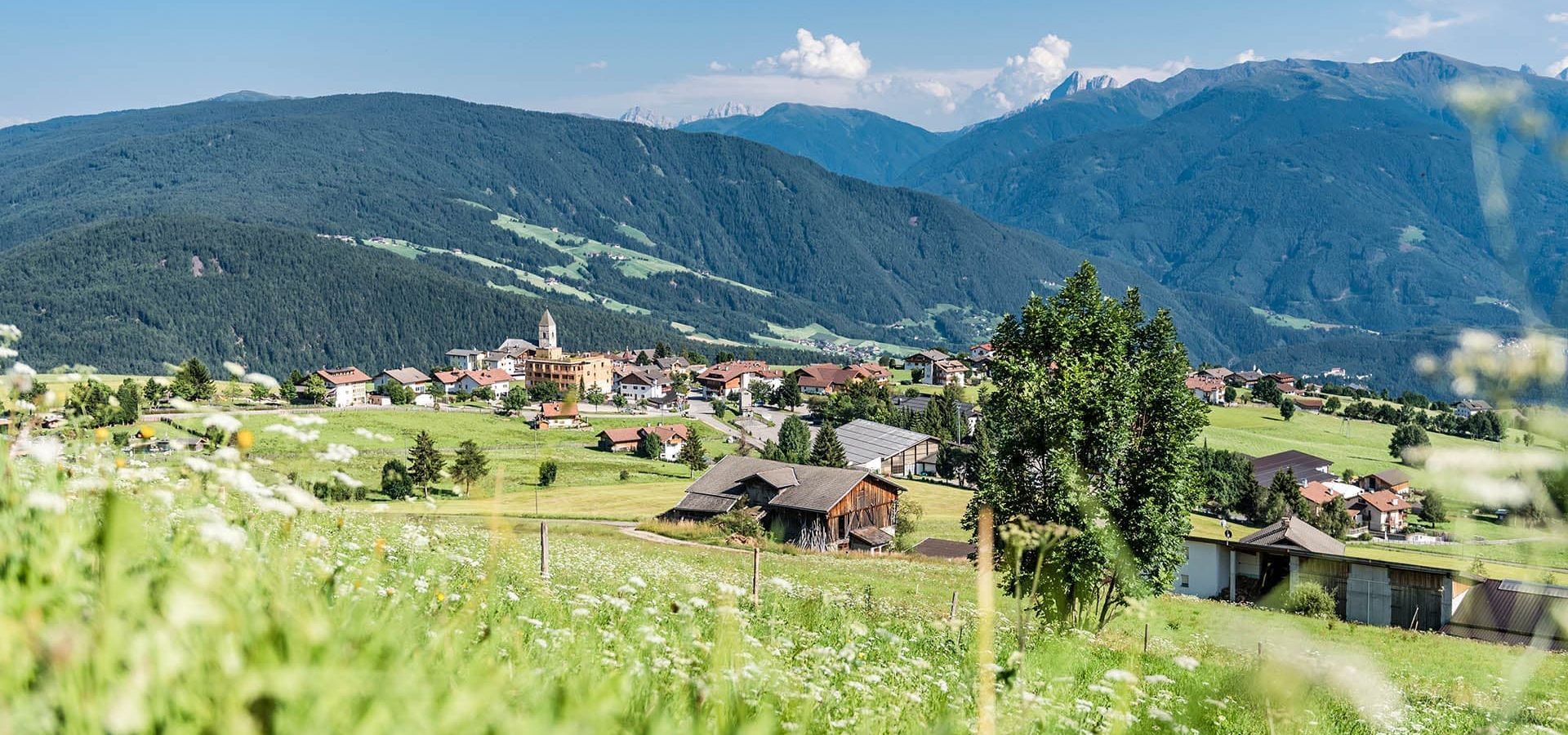 Pfeiferhof Südtirol Urlaub in Meransen Naturgenuss auf dem Hochplateau (3)